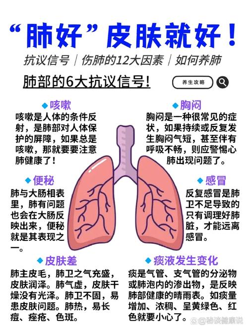 皮肤呼吸道的日常小调适