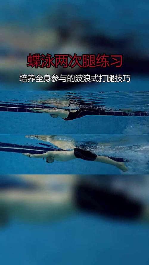 蝶泳海豚腿波浪发力训练