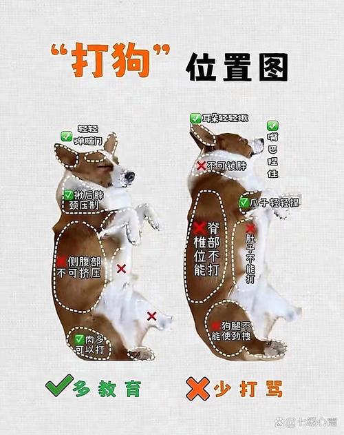 14. 动物侵害算不算“危险”?被狗追打狗算紧急避险吗?