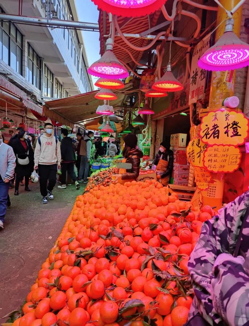 三、街巷里的烟火哲学:篆新农贸市场