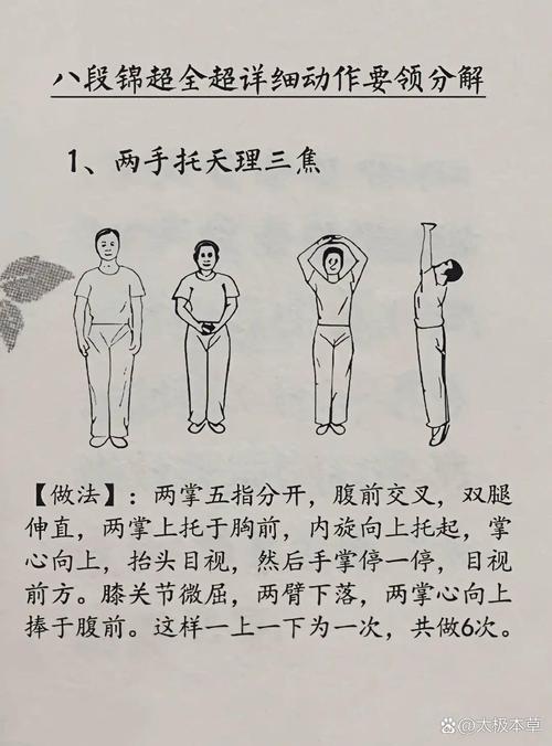 适合新手的日常八段锦动作分解图