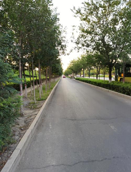 秋冬阴天少日照城市街景