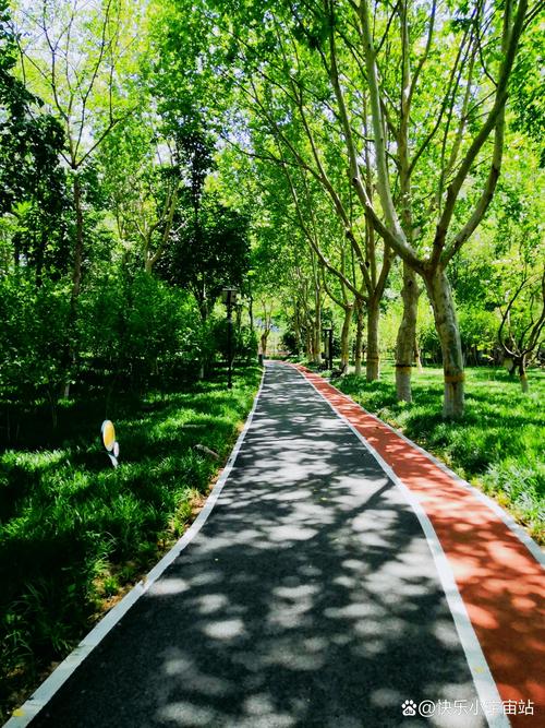 城市近郊秋季柏油骑行绿道风景
