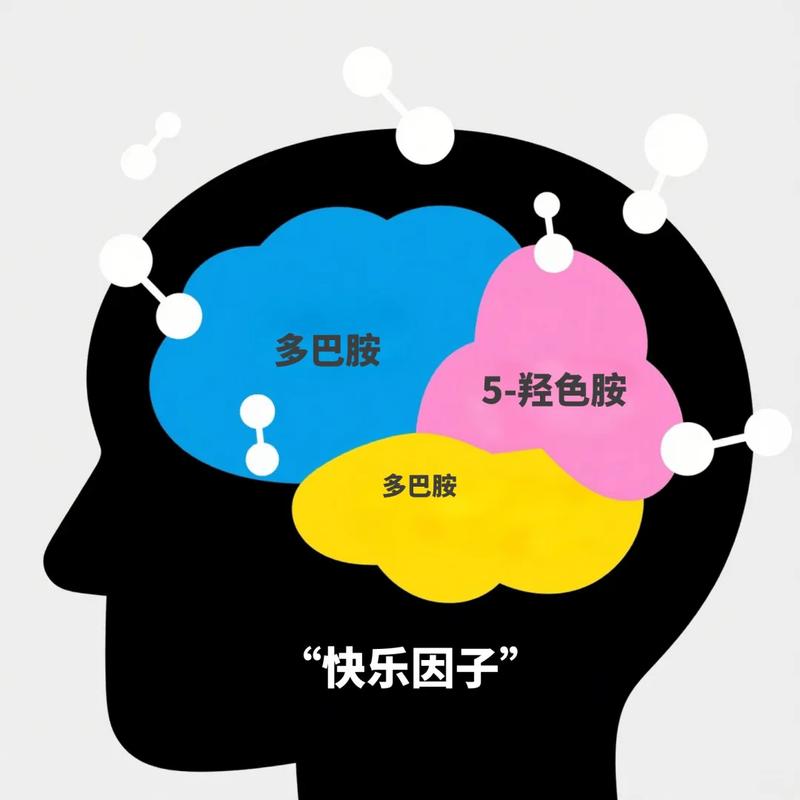 用户使用情感化产品大脑多巴胺激活观测图