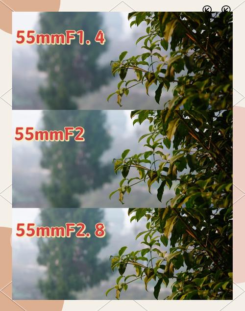后期“虚化”，可以假乱真？