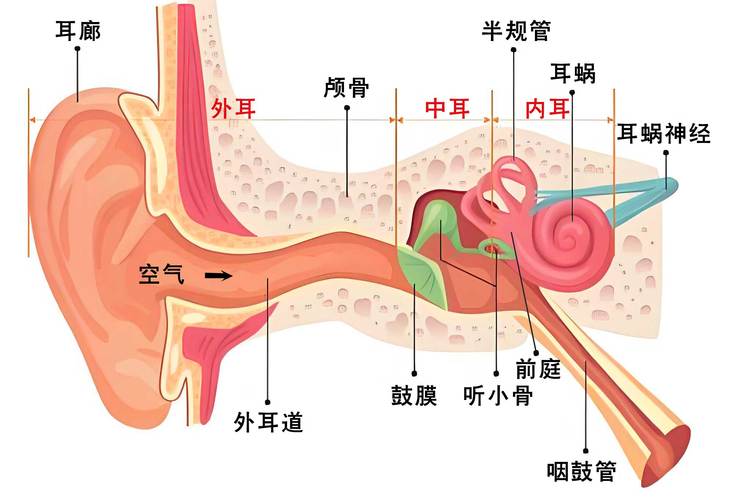 从振动里听出门道