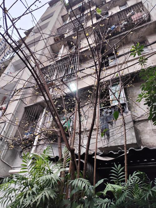 我偷了半小时看窗外发呆，赚了一整个秋天-大讲堂