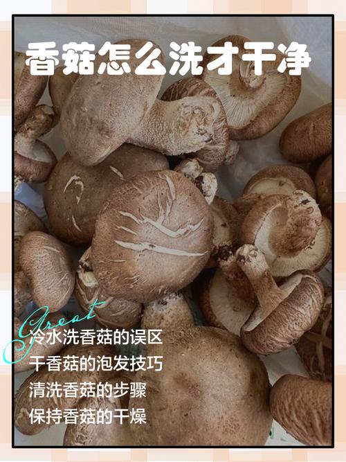 带着泥土的香菇在水龙头下快速冲洗
