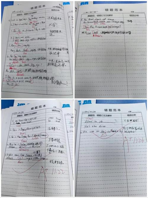 教师课堂观察记录学生错题本