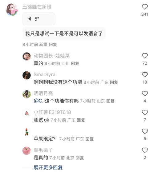 小红书评论区用户问题整理截图