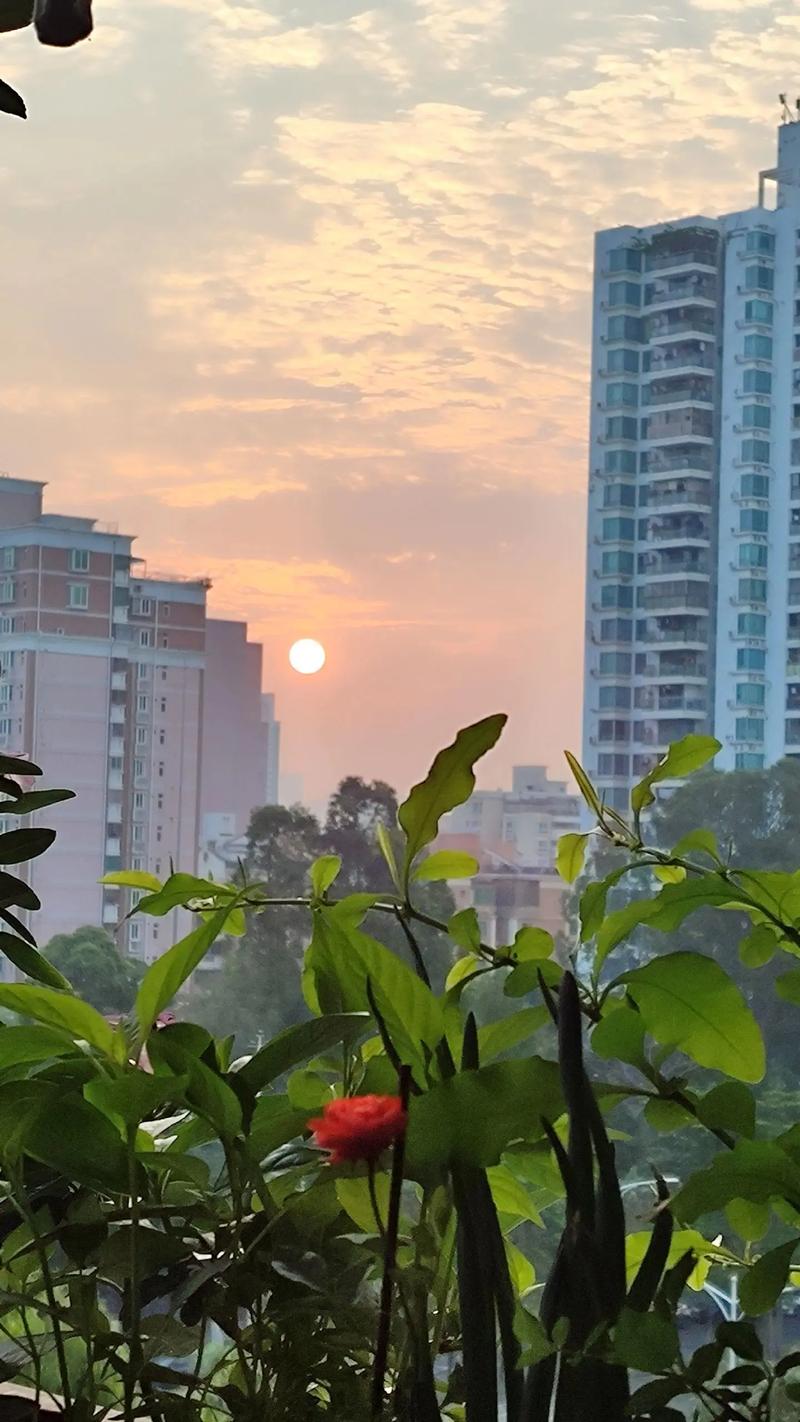 晨光：那些被偷走的光，和一次刻骨铭心的醒-因为所以