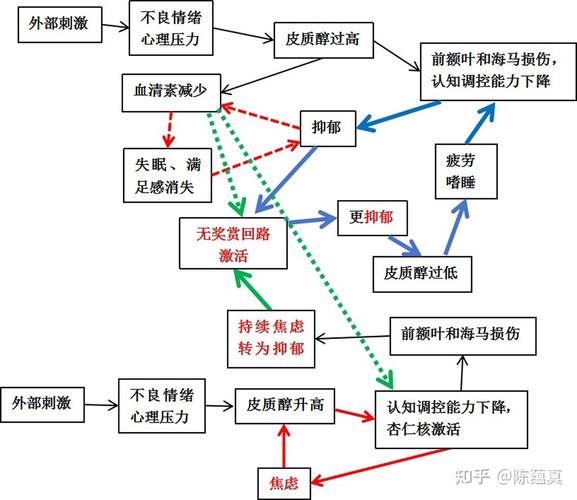 情绪影响问题解决的神经回路示意图