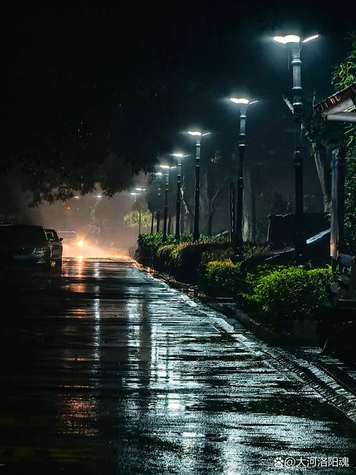 手机拍摄雨后积水倒映霓虹灯光影壁纸