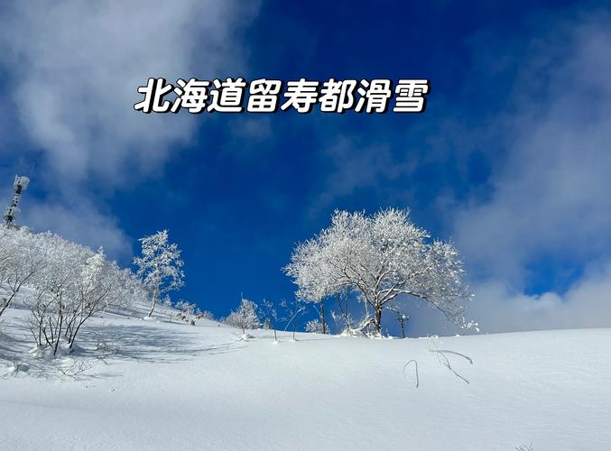 北海道留寿都滑雪场粉雪初学者区域