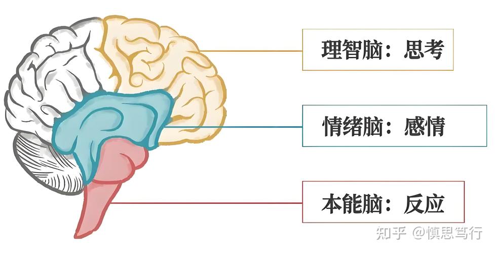 动手之前,先动‘嘴’和‘脑’