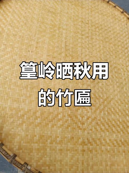 池州飞地学苑庭院里摊晒乌米叶的竹匾