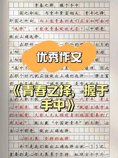 四、收藏还是实用？我的选择