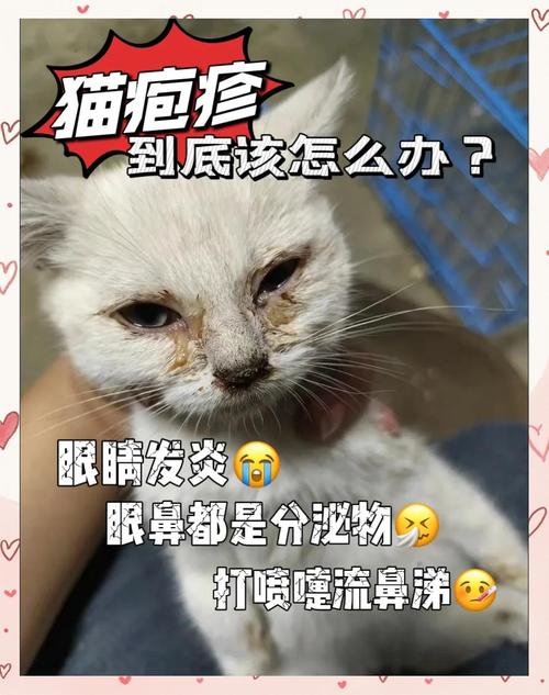 患猫疱疹病毒的橘猫挂着黄鼻涕睁不开眼