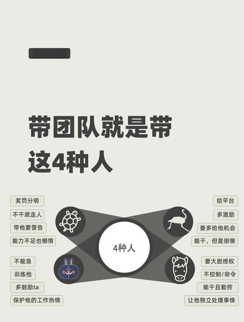 四、团队是不是“复合型”,懂内容也懂技术