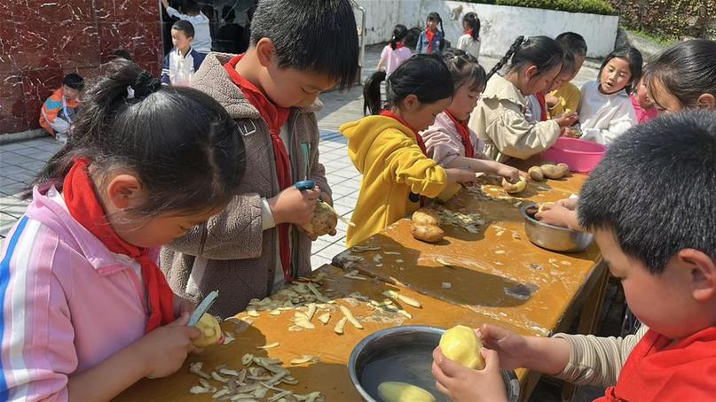 小学生食堂削土豆皮劳动场景