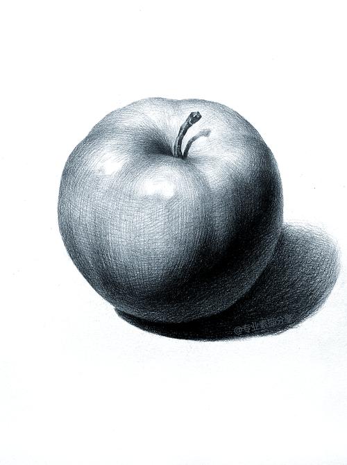 儿童素描写生苹果明暗关系对比图