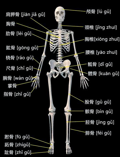 落地时最贱的骨头：不是架构，是人