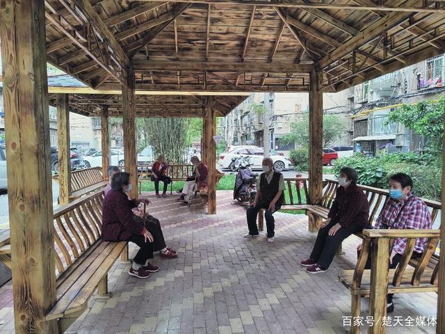小区凉亭祖辈带娃茶话会日常场景