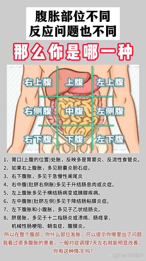 餐后腹胀腹部位置示意图
