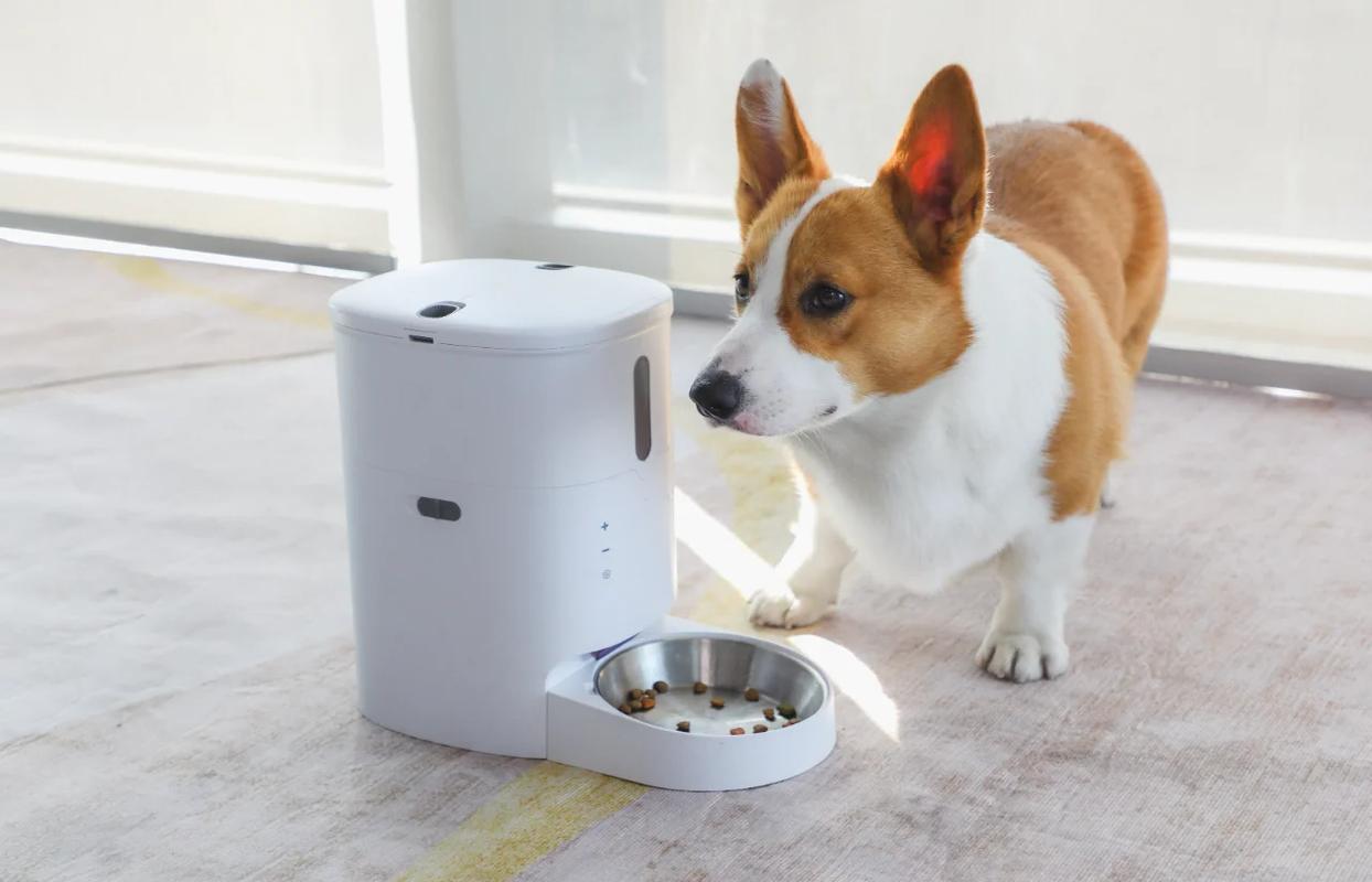 家用狗狗自动喂食器装满整罐狗粮场景