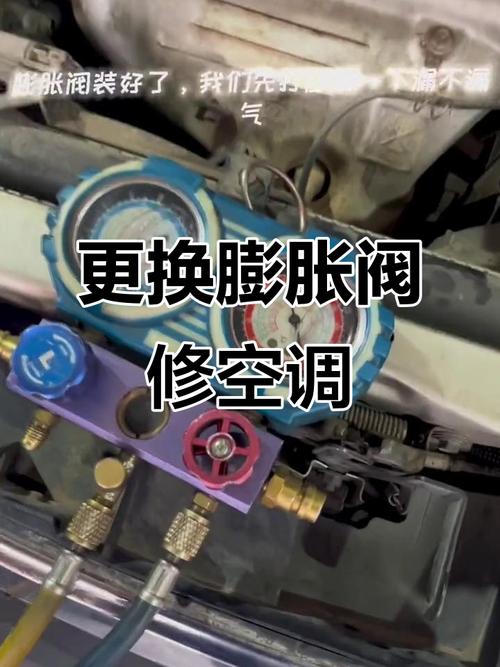 汽车空调膨胀阀拆解后杂质堵塞实物图