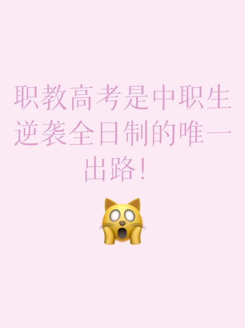 职教高考：一条被严重低估的