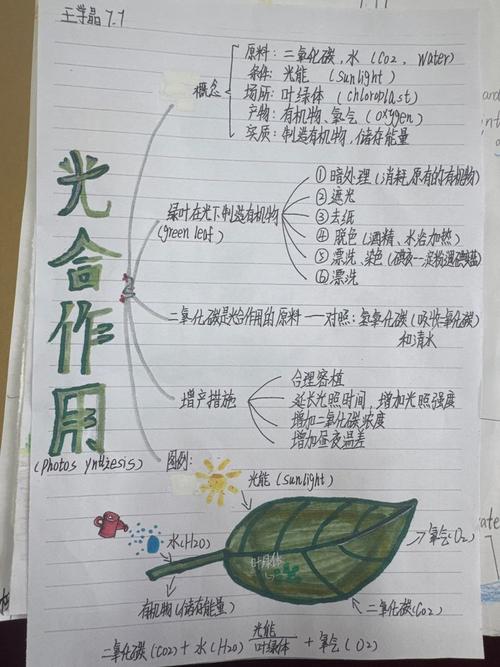 拿“光合作用”练个手,你马上懂