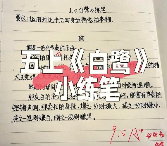 小学传统抄写作业与项目式作业对比场景