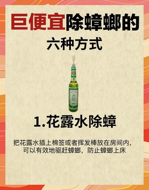 靠谱实用的防虫方法，照着做就行