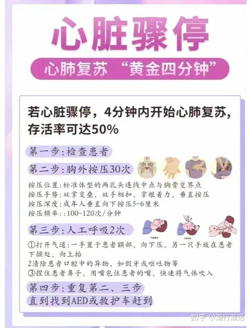 心搏骤停：别光等救护车