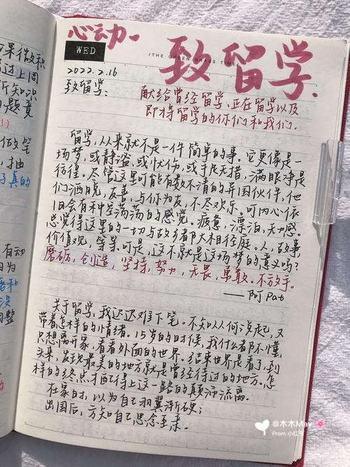 留学之后呢?那条最难走的路,是回来