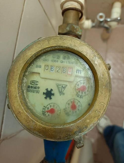 业主拍摄家中被停水的水表照片