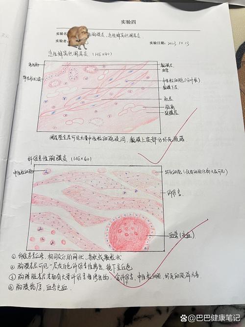 白板上用红蓝笔手绘的逻辑论证结构图