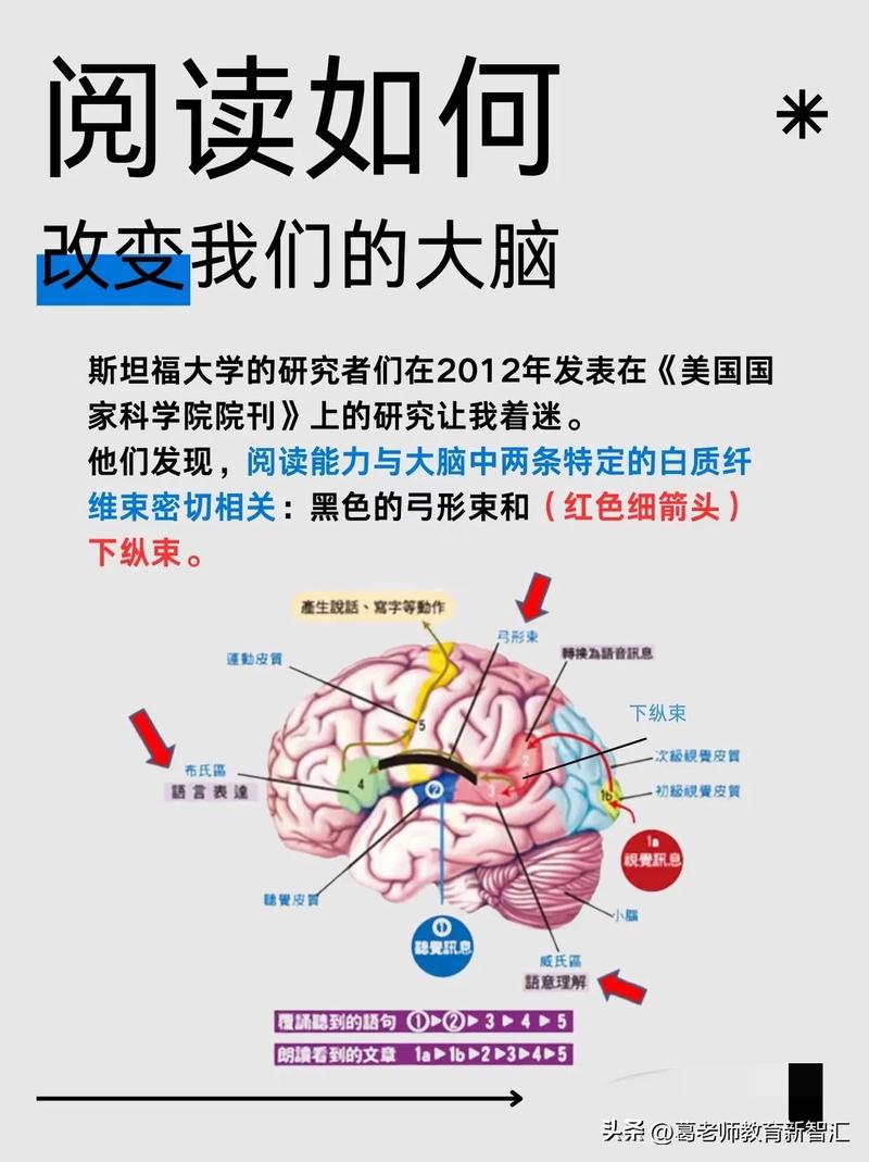镜子影响了人类的大脑,甚至可能改写了文明史