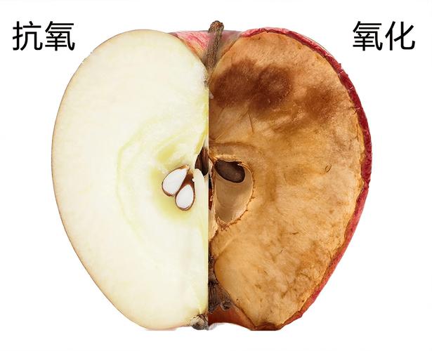 基因编辑抗褐变苹果切面对比图