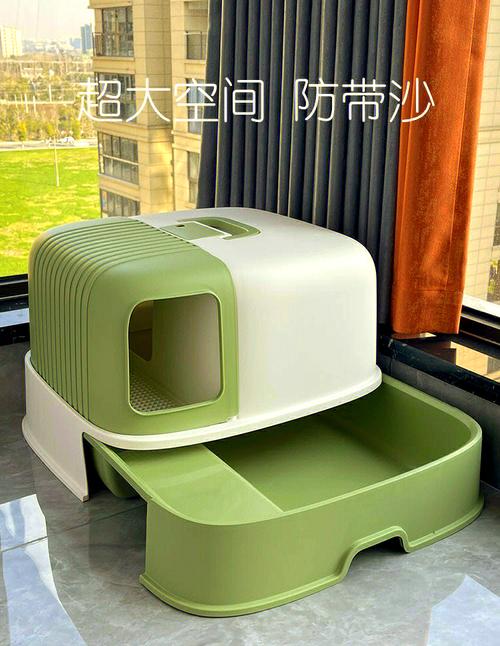 客厅过道错放猫砂盆实景图