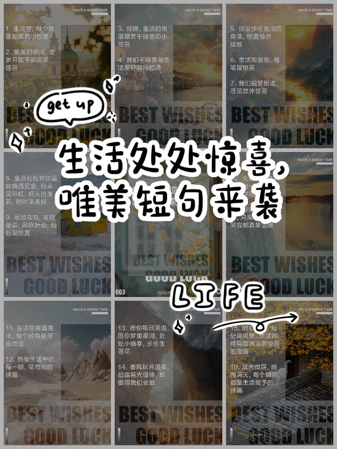 风里藏着生活的小惊喜