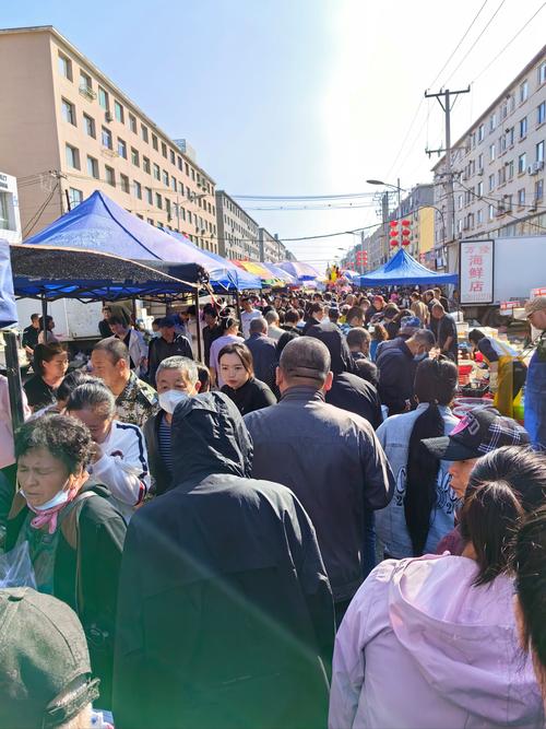 第一波冲锋：团岛早市（07:00-08:30）