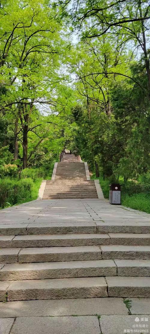 黄帝陵桥山古柏群石板步道