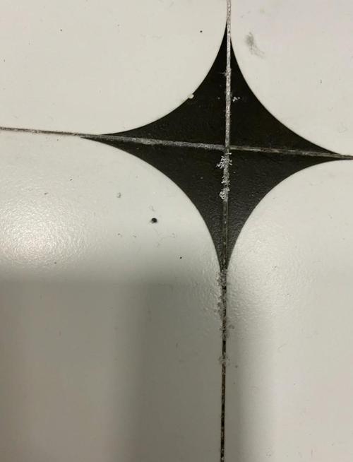 老房白水泥瓷砖缝隙孔隙长霉特写