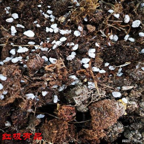 浸水24小时后膨胀珍珠岩吸水率称重测试