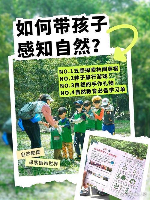 怎样把自然教育融入日常生活?