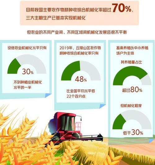 顺着功能养，比逼着补短板舒服太多