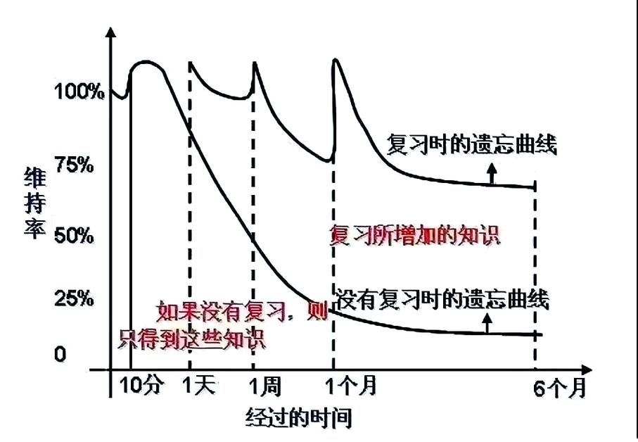 大脑记忆遗忘曲线间隔复习图示