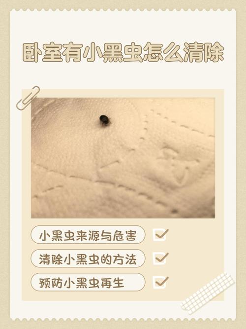 遇到虫害、黑斑?别慌,我有土办法